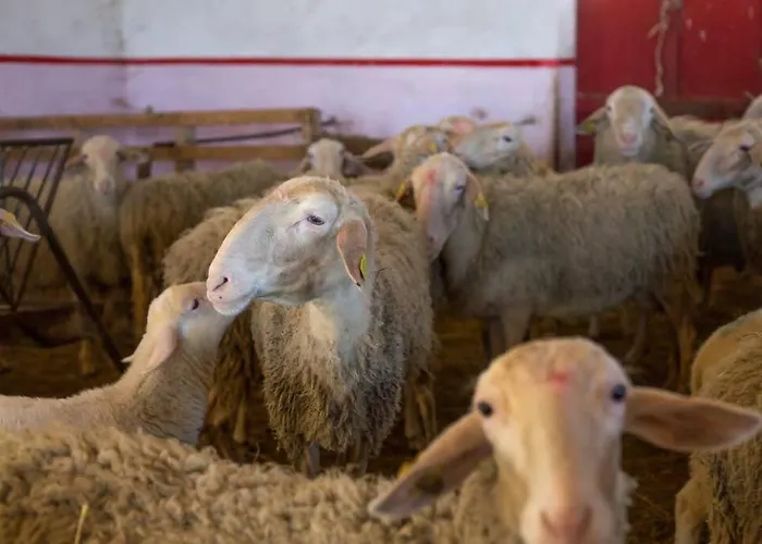 Casale Della Torre וילה