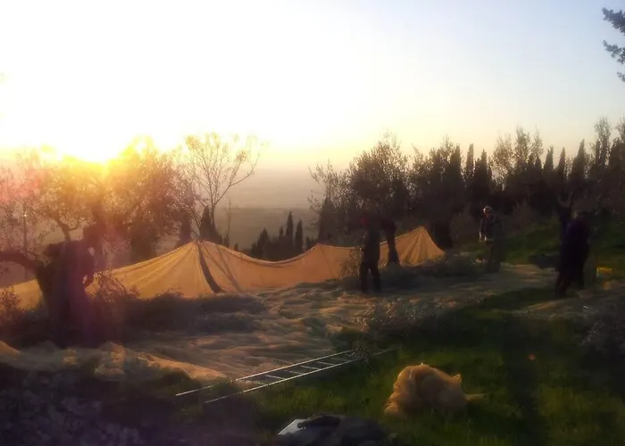 Casale Della Torre * קורטונה